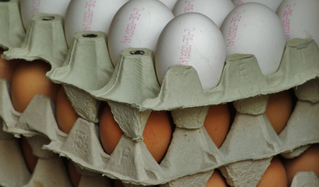 “Mayıs Çukuru” etkisi azaldı, yumurta fiyatları yeniden yükselişe geçti