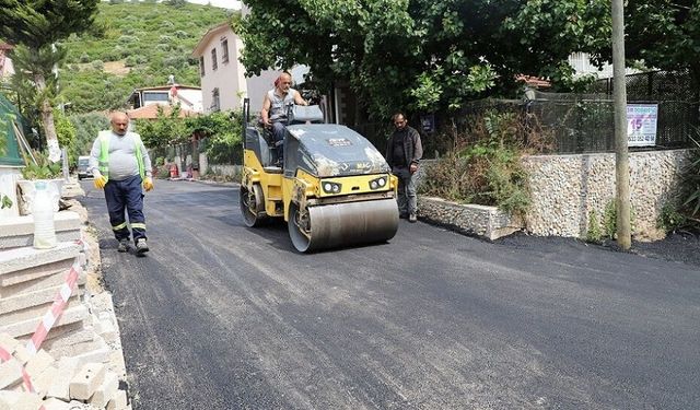 Maydonoz Koyu’nda yol seferberliği: 7 bin metrekarelik asfalt çalışması