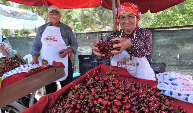 Bornova'da Kiraz Festivali coşkusu Beşyol'u saracak