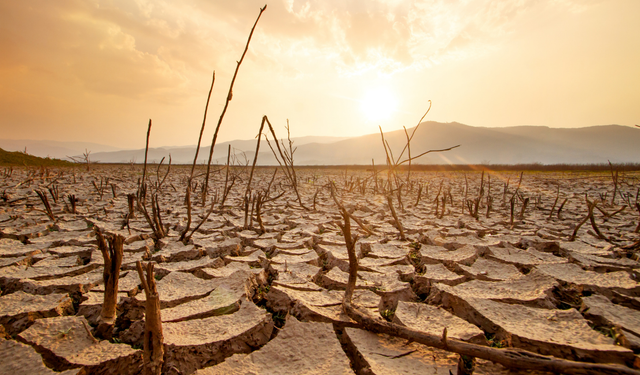El Nino etkisiyle sıcaklıklar yükseliyor: Türkiye’de sıcaklıklar mevsim normallerinin üzerine çıkacak
