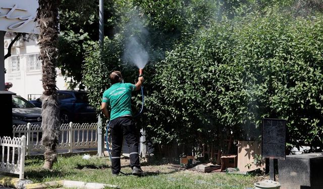 Balçova’da yaz dönemi haşereyle mücadele: İlçe genelinde kapsamlı ilaçlama