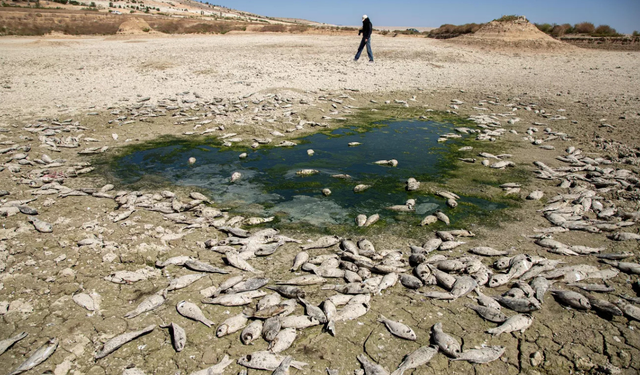 Tarihin en güçlü El Nino'su kapıda mı, dünyayı neler bekliyor? Bilim insanlarından kritik uyarı