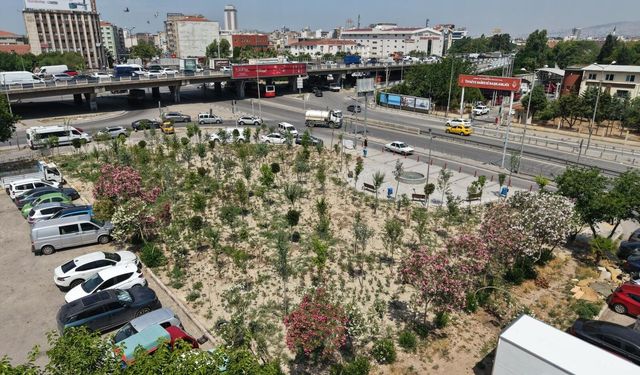 Kemer’e mikro orman kazandırıldı: Atıl alan yeşil yaşam merkezine dönüştü