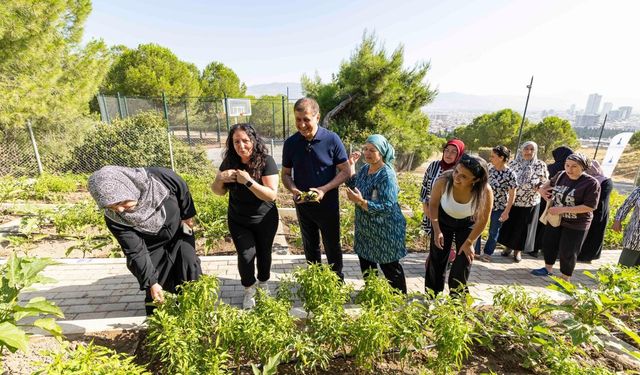 Başkan Tugay Meriç Mahalle Bostanı'nda kadınlarla hasat yaptı