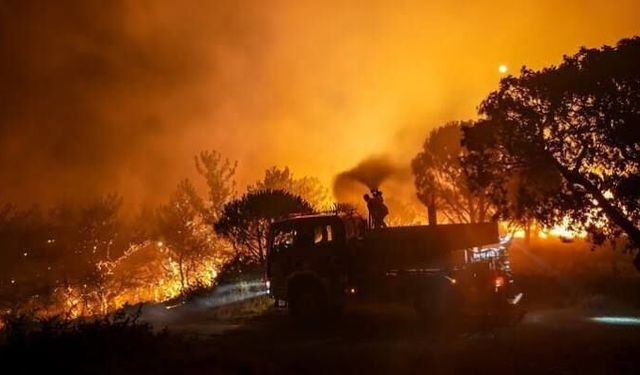 Balıkesir’de orman yangınına ilişkin flaş gelişme: 2 kişi tutuklandı