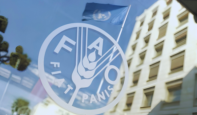 FAO raporu: Sağlıklı beslenme artık lüks haline geldi