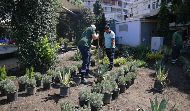 Konak’ın parklarında bakım seferberliği: Yeşil alanlar yenileniyor