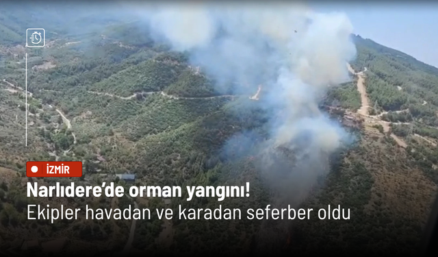 Narlıdere’de orman yangını paniği! Ekipler havadan ve karadan seferber oldu