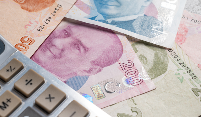 Milyonlarca emekliyi ilgilendiriyor! Zamlı maaşlar e-Devlet'te erişime açıldı