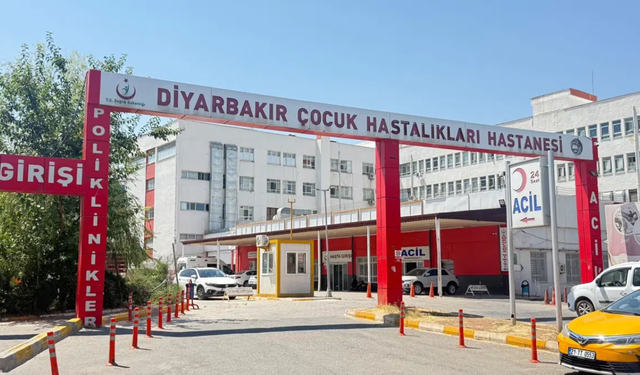 4 ay önce kedi tırmalamıştı: 3 yaşındaki çocukta kuduz tespit edildi