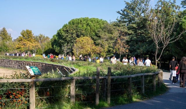İzmir Doğal Yaşam Parkı’nda saatler değişiyor: Kış tarifesi için tarih belli oldu
