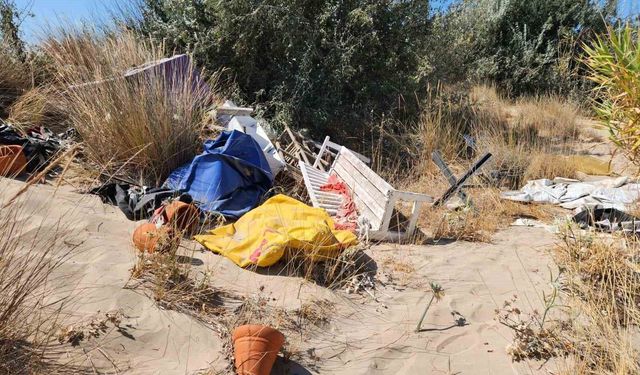 Çeşme Altınkum’da tepki çeken görüntü: Kum zambaklarının bulunduğu alan çöplüğe döndü