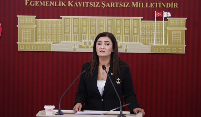 SİYASET