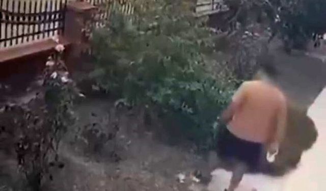 Bayraklı’da anne kediye tekme atan şüpheli yakalandı