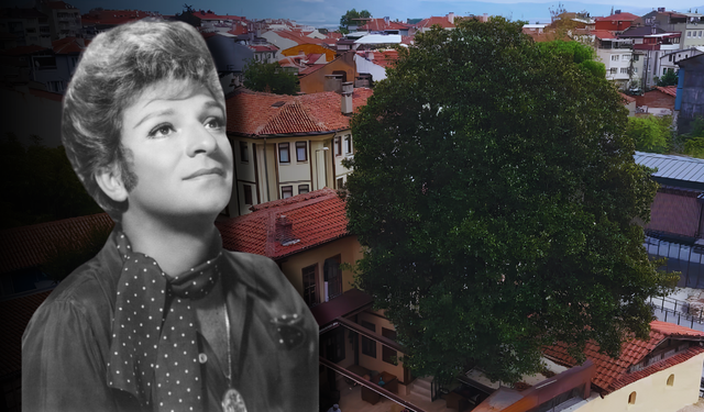 Zeki Müren’e ilham veren 300 yıllık manolya ağacı: Bir çocukluk hatırası hala çiçek açıyor