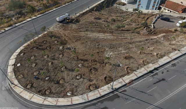 Buca’da 5 dönümlük alanda ağaçlandırma çalışması