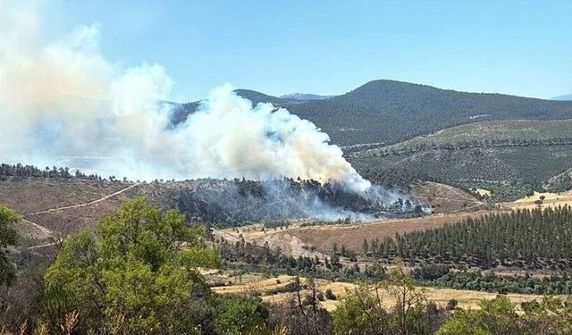 Bursa'da orman yangınına havadan ve karadan müdahale