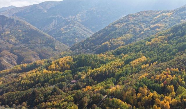 Dersim'de yüksek gerilim hattı çalışmalarına tepki: Pülümür Vadisi talan ediliyor