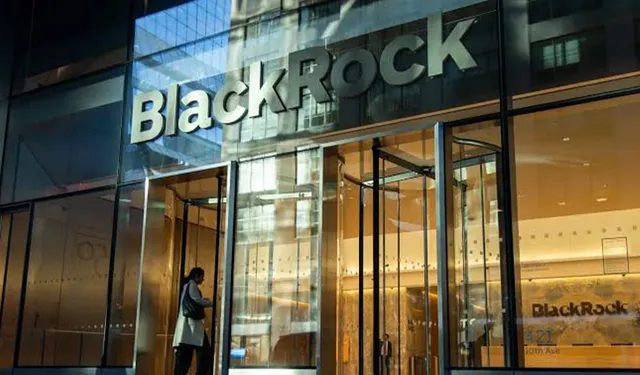 BlackRock fonu Türkiye’deki yatırımlarını yüzde 94 azalttı
