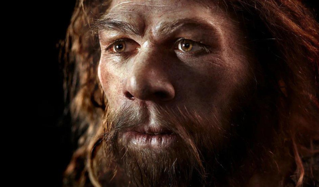 Neandertaller birbirini öldürüyor muydu? 75 bin yıllık bulgu dikkat çekti