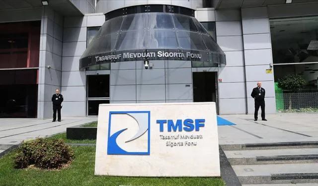 Tera Yatırım Teknoloji Holding’e TMSF kayyum olarak atandı