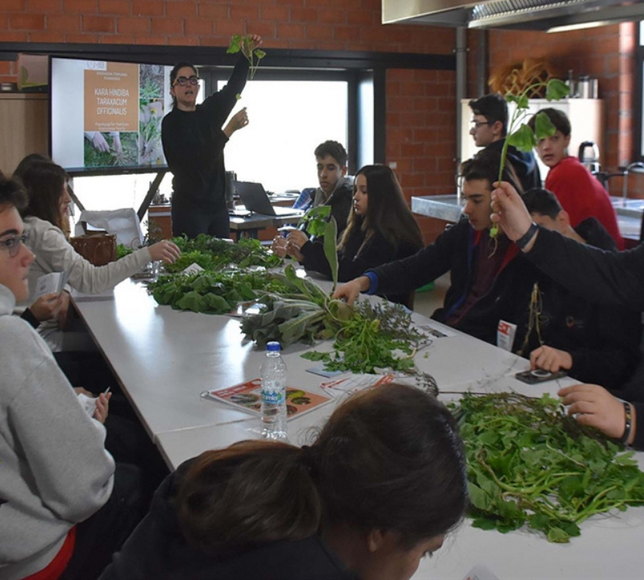 Liseli gençler Ege’nin unutulan otlarını UNESCO’ya taşıyor