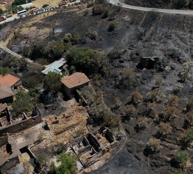 Ödemiş’te yangın sonrası yeniden inşa çalışmaları sürüyor