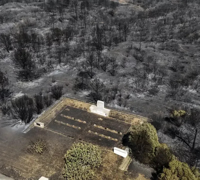 Yamanlar Dağı’nın ağaçları, yangın ve imar kararlarıyla yok oldu