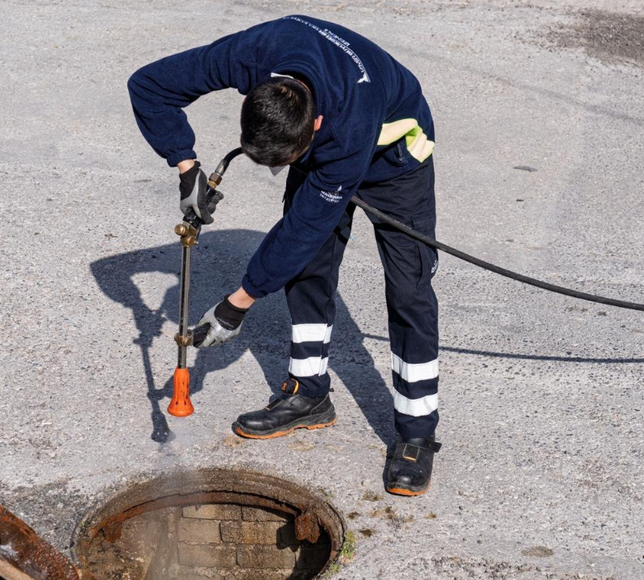 İzmir Büyükşehir’den sivrisinek alarmına karşı mücadele