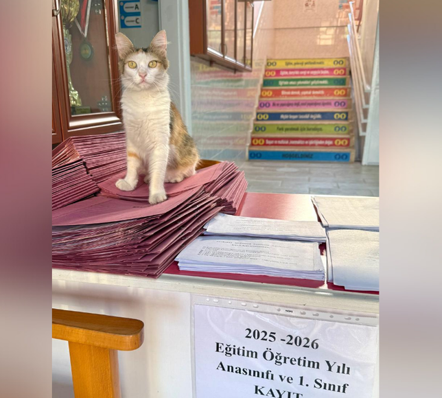 Hayvan sever okul modeli İzmir’de hayat buldu