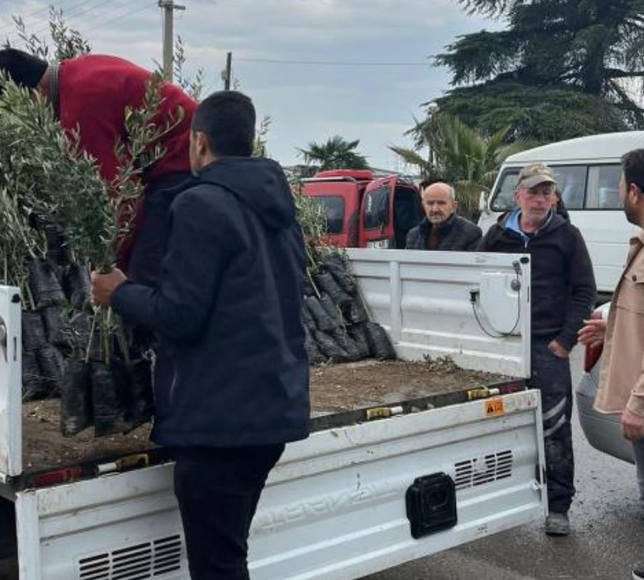 Bayındır’da çiftçiye fidan desteği