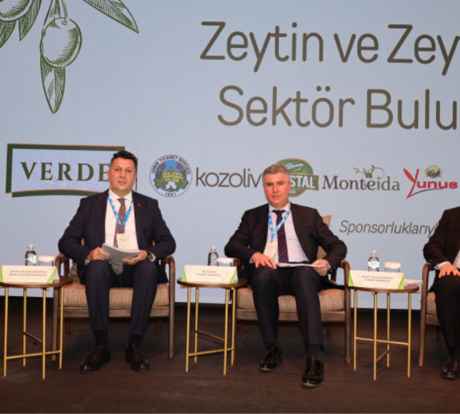 Zeytinyağında yeni yol haritası: Hedef doğru rekolte ve AB kotasında artış