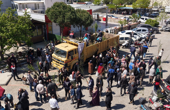 Bergama'dan üretime büyük destek: Ahlat ağaçları aşılandı, binlerce fidan dağıtıldı