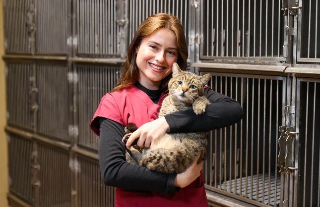 Buca’da örnek proje: 599 sokak hayvanı yeni yuvasına kavuştu