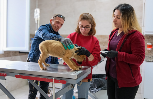 Menemen Belediyesi 50 bin can dosta umut oldu