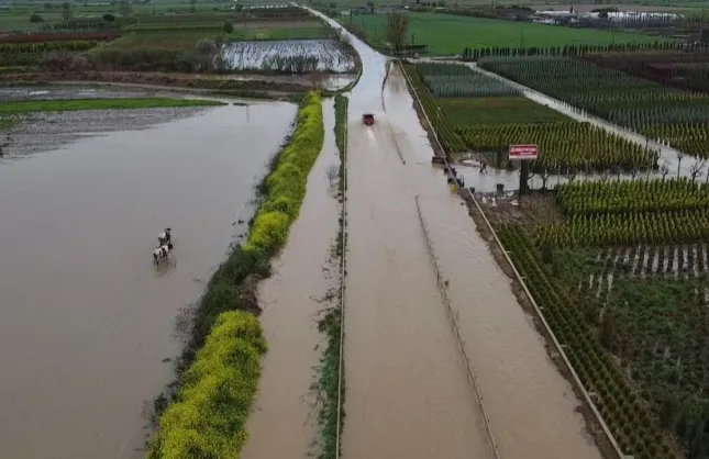Ödemiş’te tarım arazileri sular altında, yolda ulaşım aksadı