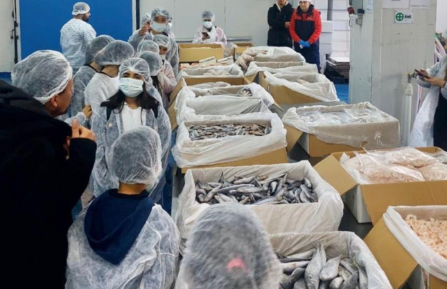 İzmir’de 200 çocuk denizle buluştu: “Yeni Nesil Balıkçılar” projesi hayata geçti