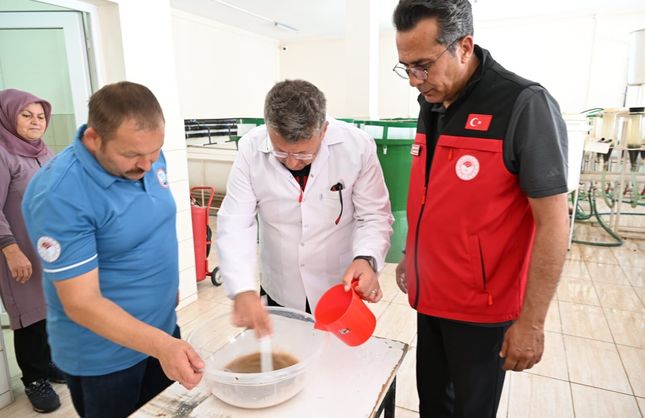 Ürkmez Su Ürünleri İstasyonu’nda sazan üretimi incelendi