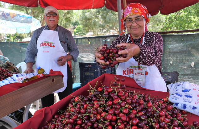 Bornova'da Kiraz Festivali coşkusu Beşyol'u saracak