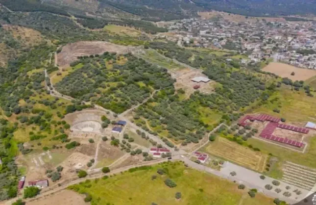 Torbalı’da 10 bin metrekarelik tarım arazisi icradan satışa çıkarıldı: Değeri 19,7 milyon TL