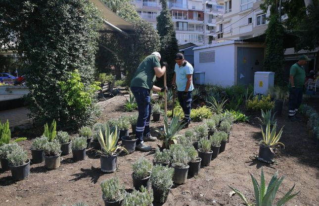 Konak’ın parklarında bakım seferberliği: Yeşil alanlar yenileniyor