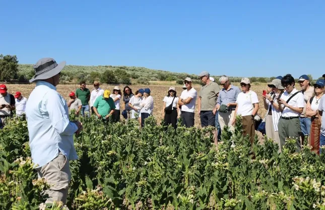 Dünya tütün uzmanları İzmir'de buluştu: 17 ülkeden katılım