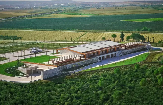 Metropolis topraklarında hasat heyecanı: LA Bağları’nda özel deneyim
