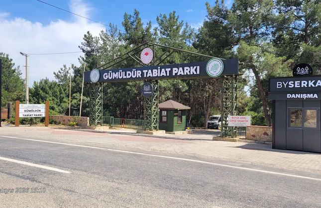 İzmir’de doğayla iç içe kamp keyfi: Gümüldür Tabiat Orman Kampı’nda neler var?