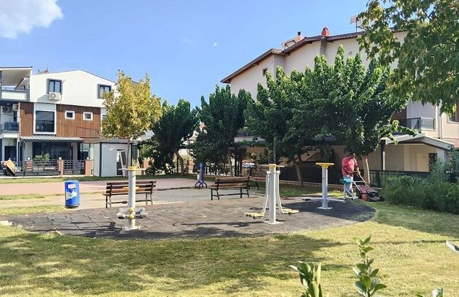 Menderes’te yabani otlarla mücadele sürüyor: Ekipler dört bir yanda sahada