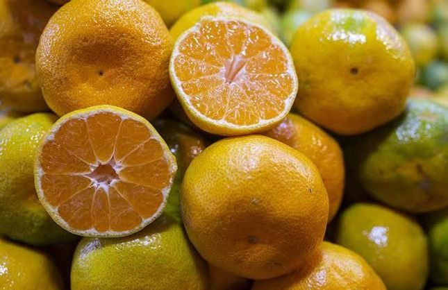 İzmir'de satsuma mandalina mesaisi başladı: Rekolte yüzde 12 arttı