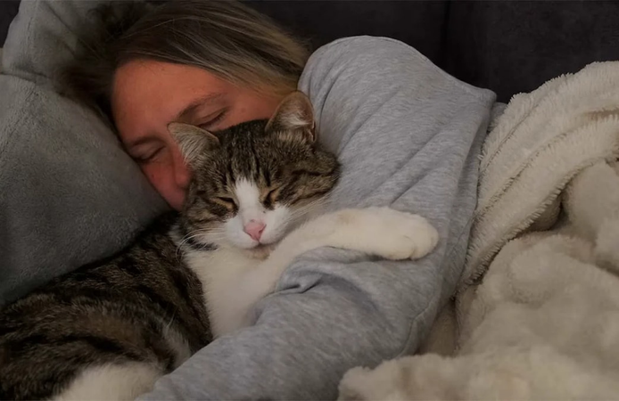 Kediniz neden gece yanınıza geliyor? İşte bilinmeyen sebepler