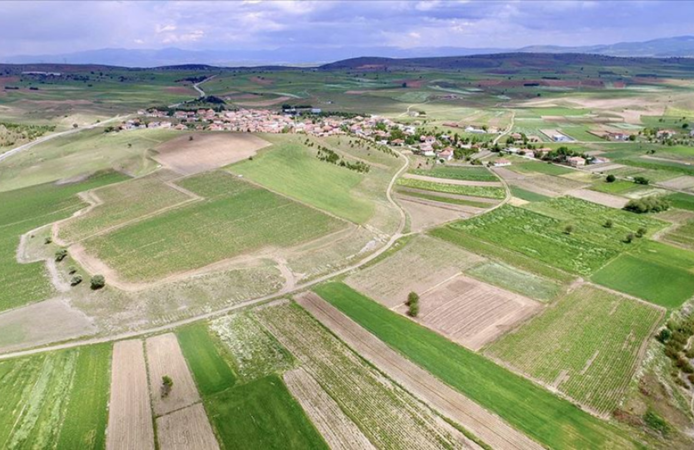 Hobi bahçelerine sert fren: Kooperatif modeli fiilen sona eriyor