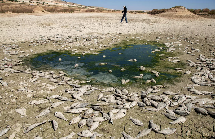 Tarihin en güçlü El Nino'su kapıda mı, dünyayı neler bekliyor? Bilim insanlarından kritik uyarı