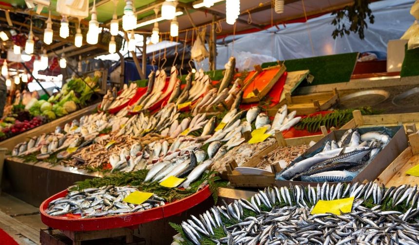 İzmir Torbalı'da balık sezonu beklentilerin altında!